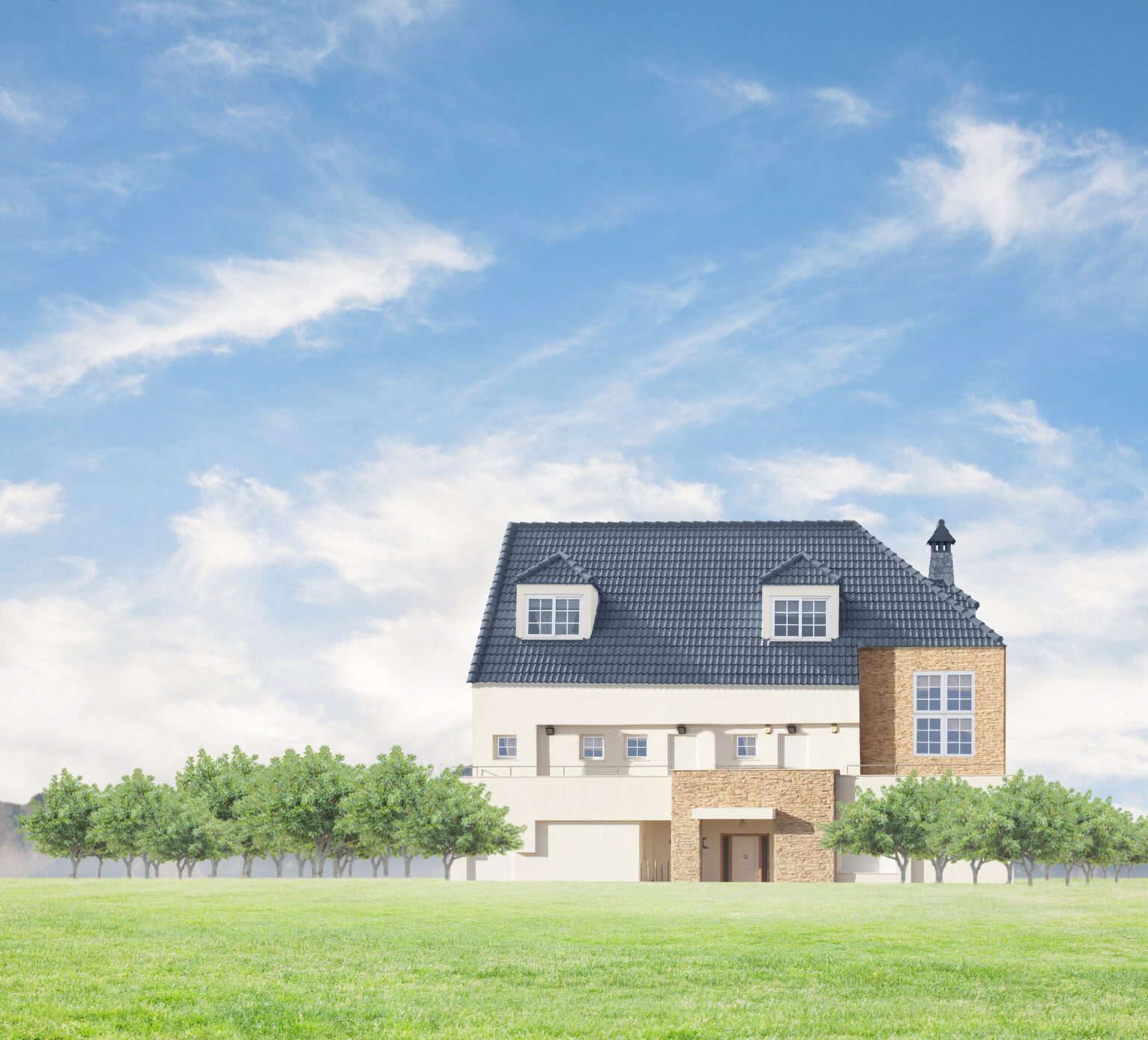 idillyc house in a meadow